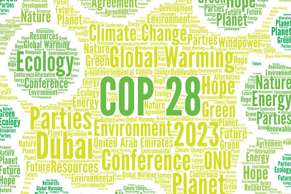 COP28: una novità nel primo giorno