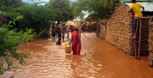 Cosa rimane della Cop 29